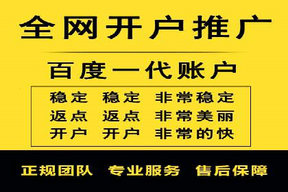 百度推广实战：案例分享与效果评估